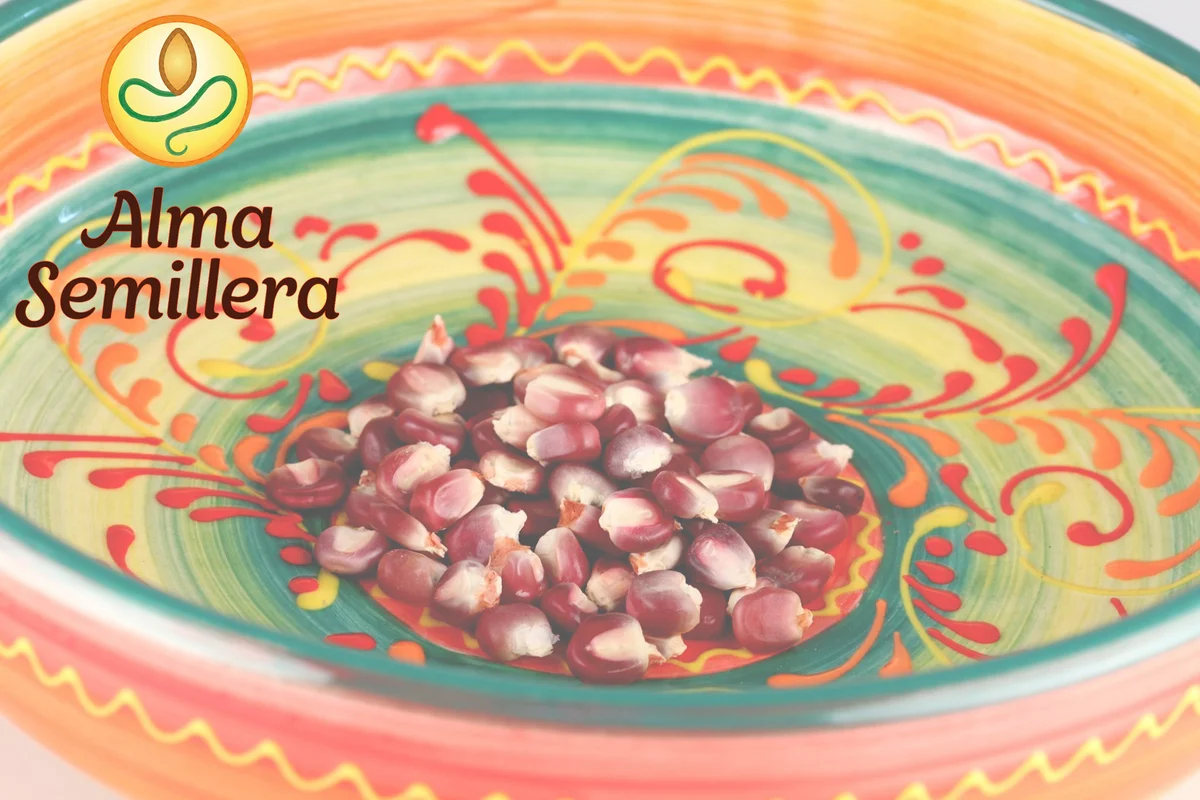Alma Semillera - Product image